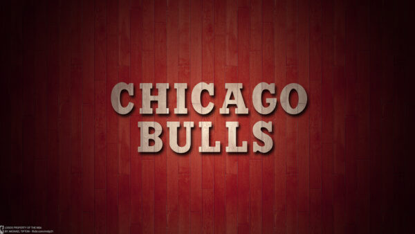 Chicago Bulls Checks